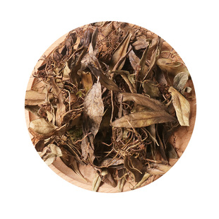 抱石莲500g克中药材抱石连抱树莲瓜子菜金龟藤瓜米菜飞莲草石瓜子