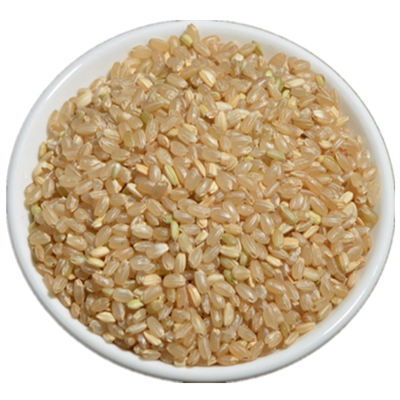 糙米5kg10斤东北盘锦健身全胚芽