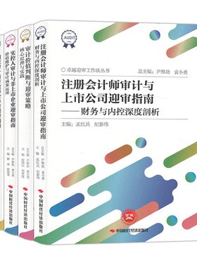 套4本卓越迎审工作法丛书注册会计师审计与上市公司+实控人审计与非上市企业+国家审计与行政事业单位迎审指南+价值判断与迎审策略