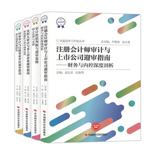 套4本卓越迎审工作法丛书注册会计师审计与上市公司+实控人审计与非上市企业+国家审计与行政事业单位迎审指南+价值判断与迎审策略