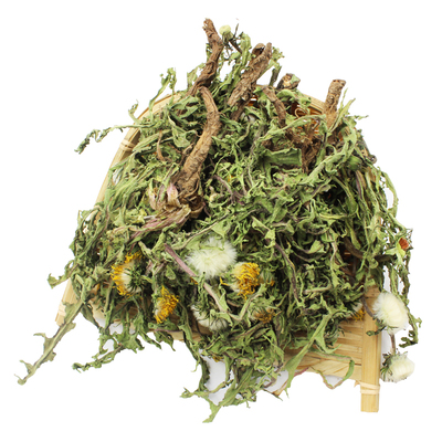 野生整株蒲公英茶特新鲜晒干货