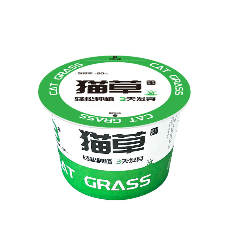 懒人泡面猫草盆栽猫草种子天然