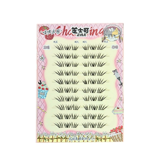 2025热款韩杂清透小珊瑚韩系ins仿真假睫毛上镜分段免胶Anna同款