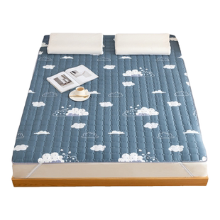 冬夏两用床垫子单人学生宿舍凉席榻榻米薄软垫双面垫褥0.9米定制