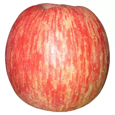 孕妇水果5A品质洛川苹果产地直发