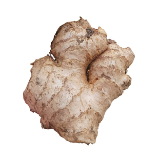 贵州2到3年农家生姜老姜母老黄姜母姜头入药月子泡脚姜灸养生专用