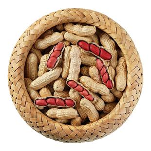 正宗新货四粒红带壳花生生花生红皮花生批发原味花生批发可吃可种