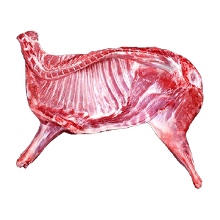 鲜驰原切羊肉羊排羊腿羊蝎子10斤内蒙羊肉新鲜现杀半只羊切块