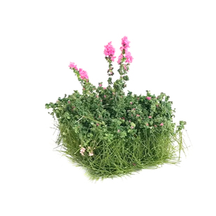 沙盘制作材料diy手工微缩场景景观装饰仿真花簇草簇草丛模型植物