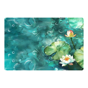 浴室地垫卫生间硅藻泥脚垫门口吸水防滑垫印花卫浴洗手间吸水垫