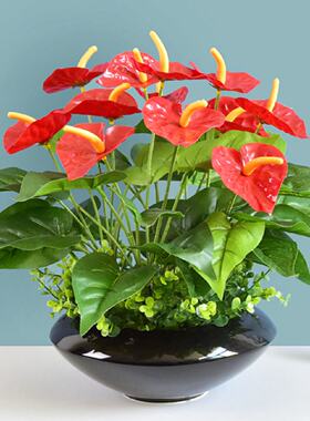 红掌仿真植物假花仿真花绿植花卉家居装饰品塑料花客厅摆件假盆栽