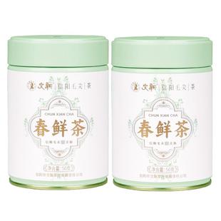 春茶上市文新信阳毛尖绿茶茶叶2025新茶明前特级春鲜茶50g*2罐