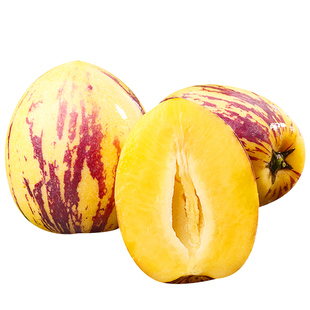 甘肃民勤沙漠人参果新鲜水果当季整箱现摘黄肉人生长果树上熟包邮