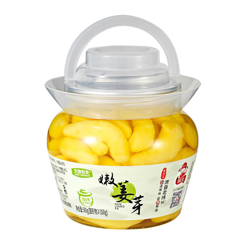 状元大地嫩姜芽生姜腌制甜姜泡菜下饭小菜腌菜火锅伴侣580g姜芽