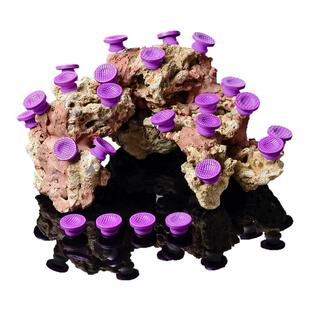 seatotch施特驰珊瑚基座可移动基座硬骨断枝基座FragPlug珊瑚基座