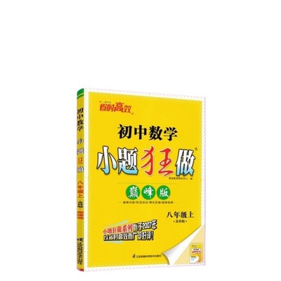 初中必刷小题狂做提优版巅峰版