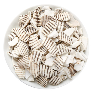 雷鹤堂瓦楞子中药材500克精选新货生瓦楞子可磨瓦楞子粉正品包邮