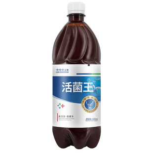 活菌王鸽用活菌赛鸽用品非鸽药大全益生菌保健品肠道拉绿便稀水便