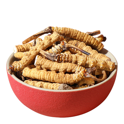 冬虫夏草断草正品10克中秋节礼品