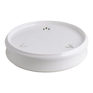 干冰盘创意餐厅特色餐具高档私人会所烟雾摆盘象拔蚌刺身海鲜盘子