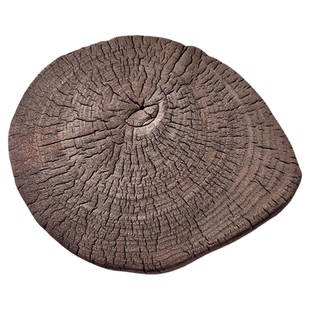 香樟木柴火碳化年轮茶托茶道侘寂壶承防腐黑炭板挂件摆件背景木块