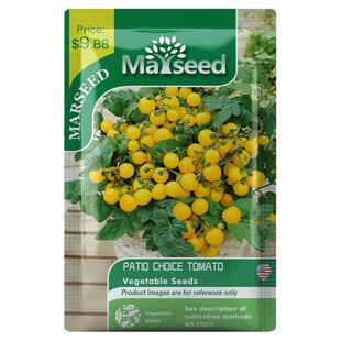 【盆栽新品】进口Patio Choice AAS获奖品种露台矮番茄种子苗阳台