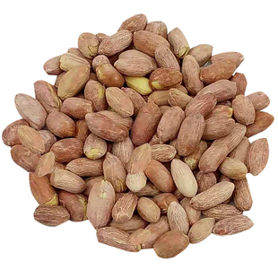 天津狗屁果仁干果炒货五香花生米传统工艺老味道干炒微咸酥脆零食