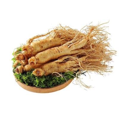 【顺丰空运】250/500g鲜人参长白山野山人参东北鲜人参泡酒煲汤