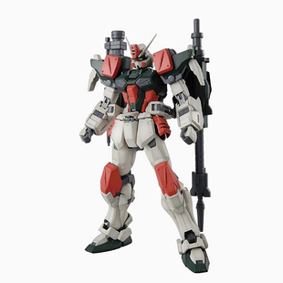 【评头论足 】万代现货 MG 暴风 GAT-X103 高达模型 敢达 玩具