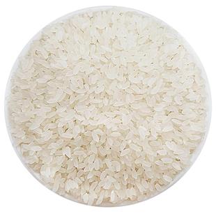 新大米东北大米珍珠米圆粒大米长白山寒地大米香5斤装非真空包装