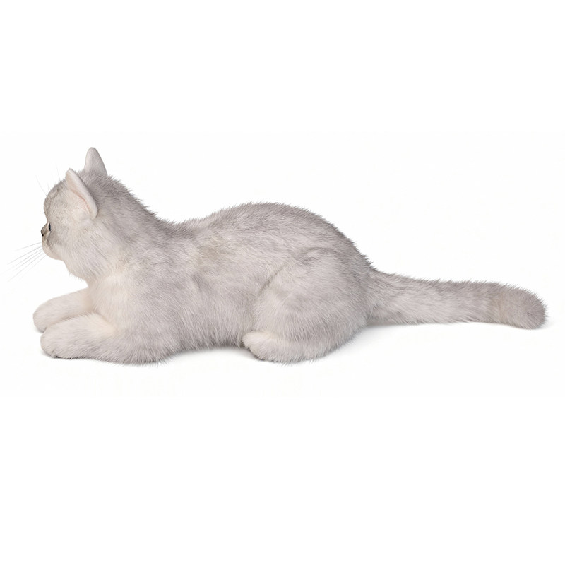 仿真银渐层猫玩偶猫公仔毛绒玩具