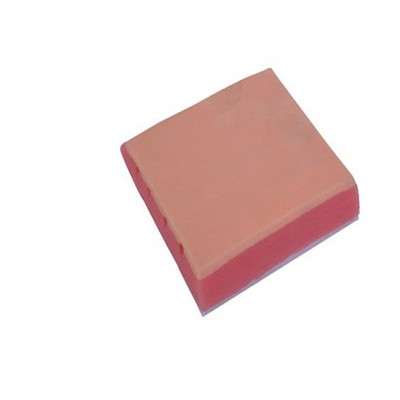 黄和模型人体针灸皮肤模块教学