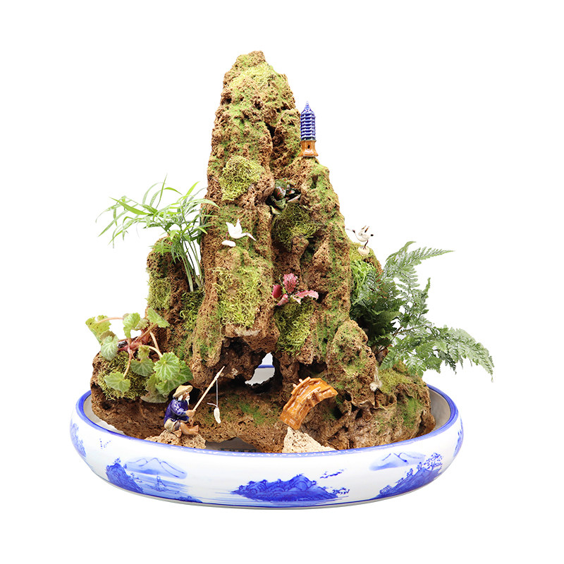 可定做吸水石盆景上水石天然原石