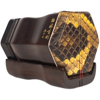 五星廠家直銷專業(yè)獨(dú)奏正品樂器