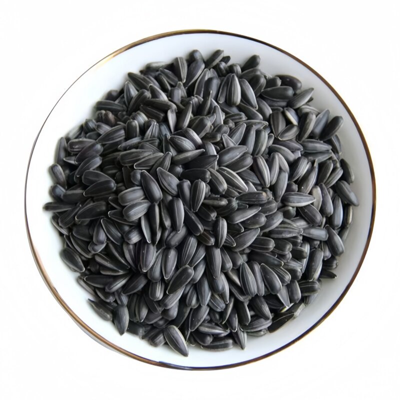 油葵黑珍珠瓜子鹦鹉奖励零食