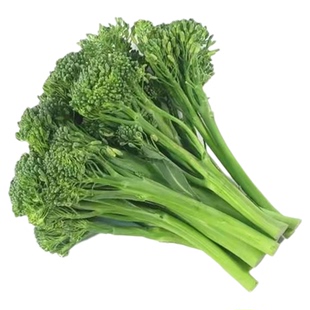 西兰苔种子芥兰种籽芥菜苔种子四季春种耐热阳台庭院蔬菜种子大全