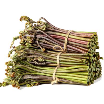 现货蕨菜新鲜野生蔬菜下饭菜当季天然野地菜山撅菜鲜嫩青厥菜野菜