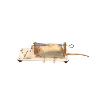 大鼠固定器实验大鼠尾静脉注射固定器筒架子固定板束缚针灸腹腔