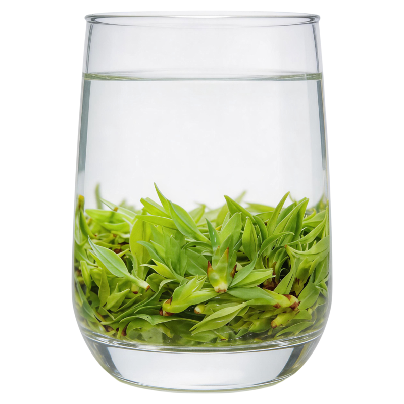 高端嫩芽特级青山绿水小叶苦丁茶