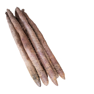 德庆紫玉淮山种段 粉糯紫山药种苗长山药种子脱毒处理后发货包邮