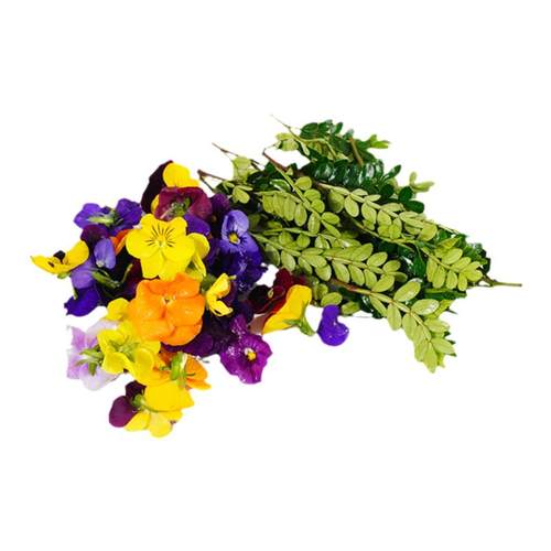 新鲜三色堇清香木胡椒木三色花蛋糕装饰饮品烘培摆盘点缀花草组合