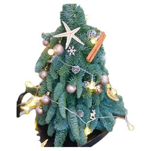 PHYSIS圣诞专场 行走的诺贝松圣诞树室内高档圣诞节日送礼ins风