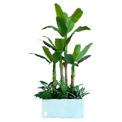 仿真植物假绿植包邮盆景造景组合