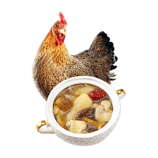 天农清远鸡童子鸡 整鸡生态散养100天小公鸡走地鸡液氮供港出厂