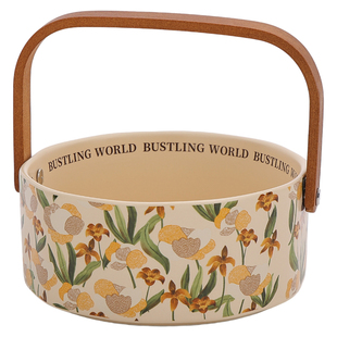 法式陶瓷水果盘客厅家用轻奢高端糖果干果盘零食盘茶几艺术感提篮