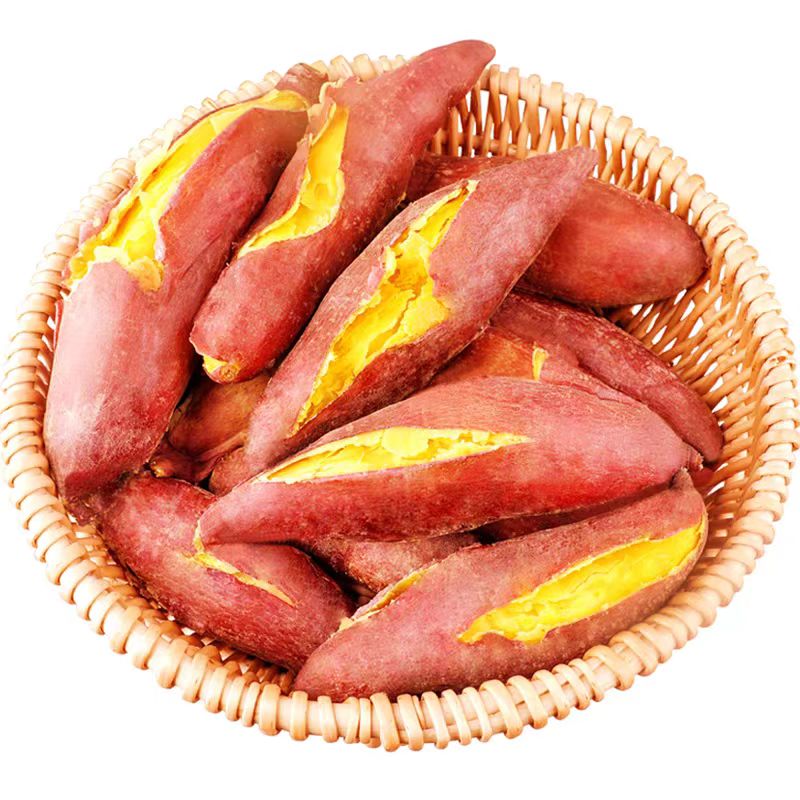 山东黄心板栗薯济薯26号番薯