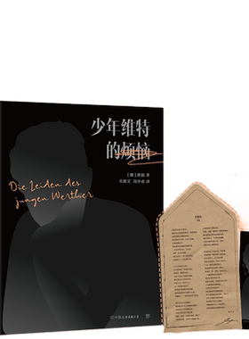 当当网少年维特的烦恼
