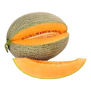 新疆哈密瓜吐鲁番西州蜜新鲜一箱应当季水果甜瓜整箱10斤全国包邮