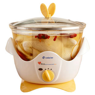 德朗养生锅电炖锅家用炖盅隔水炖全自动煲汤炖汤锅玻璃慢炖锅