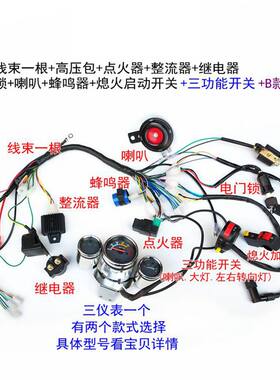 摩托车全车线路点火启动全套总成